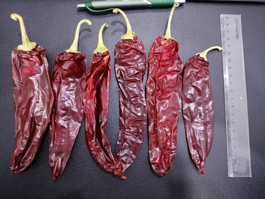 Jinta Merah Chili Pepper Buah Aroma Asap 8%-12% Kelembaban 10-15cm