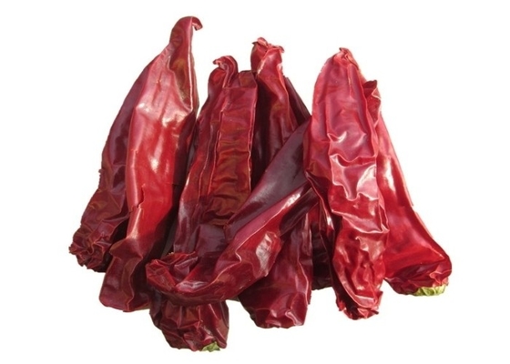 Organik Yidu Chilli Red Pepper Beijinghong Jinta Chilli 10 Cm 12% Kelembaban