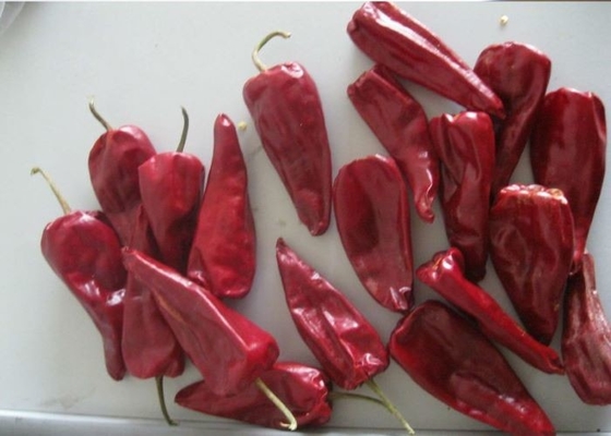 Organik Yidu Chilli Red Pepper Beijinghong Jinta Chilli 10 Cm 12% Kelembaban