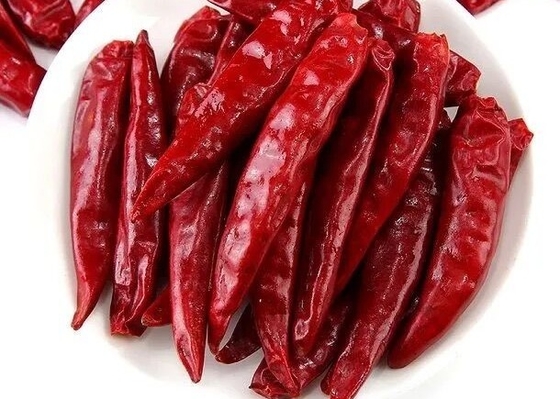 Authentic 4-7cm Dried Hot Tianjin Chili Peppers Low Impurity Dikemas dalam kantong 10kg atau 25kg
