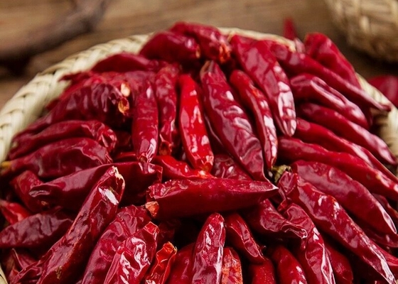 5 pon Tien Tsin Chili Peppers Massal Untuk Masakan Masakan Chinse