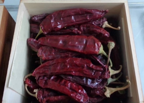 Red Jinta Chili 0,3% Max Kekeruhan Rasa Pintar Kuat 25KG Kemasan