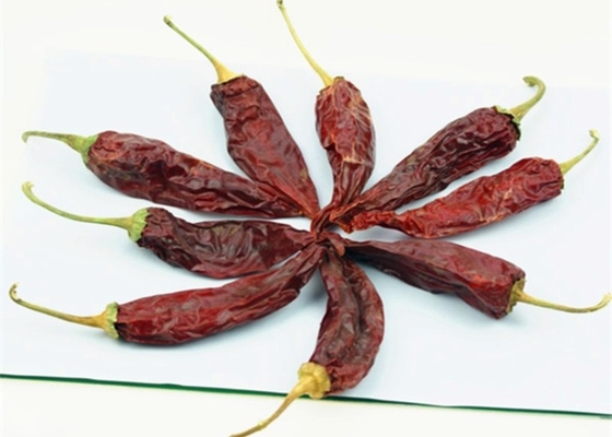 10 - 20cm Red Jinta Chilli 8000-12000SHU Untuk Bumbu Dan Masakan