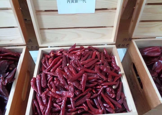 Tekstur halus Natural Red Dried Sweet Chili Peppers Untuk Memasak