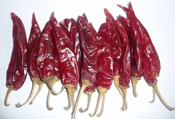 10-15cm Guajillo Chili Kering Kelas A Red Paprika Pods