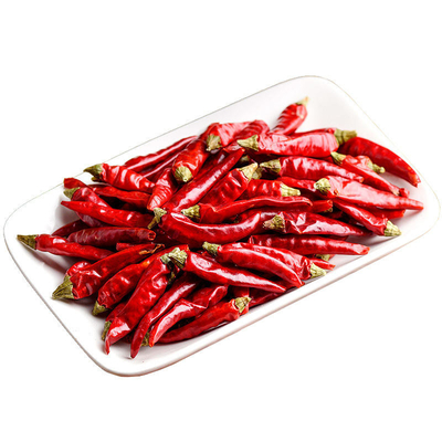 Air Dried Red Bullet Chili Dalam Warna Merah Gelap Herbal Tunggal Rempah-rempah