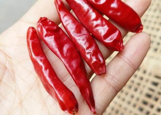 Cokelat panas potong tanpa batang untuk panci panas/masakan Sichuan Kelembaban 14% Max