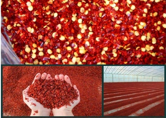 Kantong Plastik Ganda Pengemasan Bawah Buah Pepper Merah dengan Profil Rasa Bold