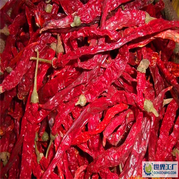 Authentic Chili Peppers Erjingtiao Dried Chilis dengan 8-12% Kelembaban dan Air Dried Process
