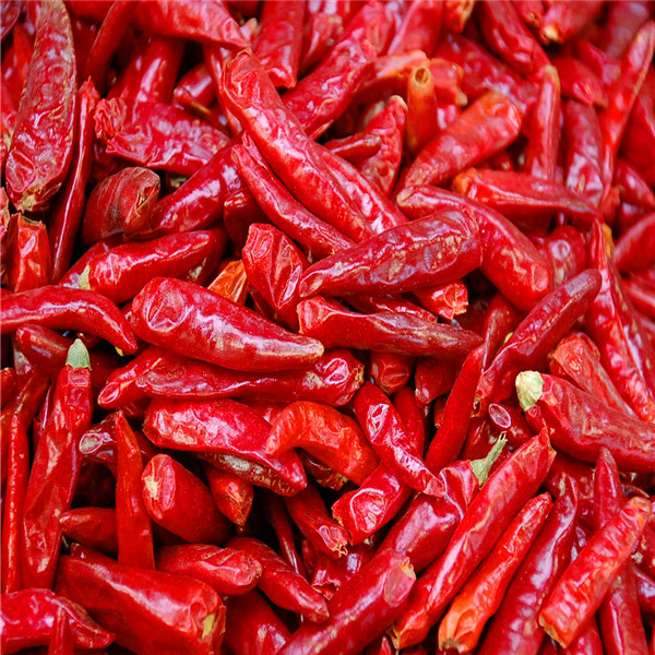 Buah Cabe merah kering dengan Bahan-bahan Tanpa Batang Tambahkan Bumbu ke Makanan Anda