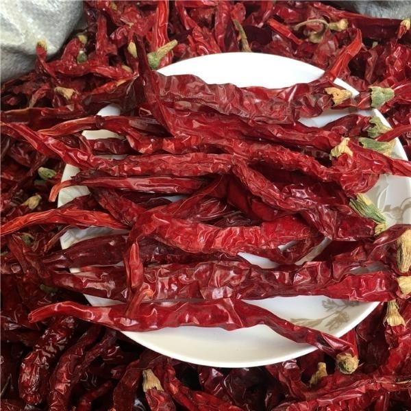 Buah paprika merah kering tanpa batang/potongan batang 99% kemurnian dengan rasa pahit yang kuat