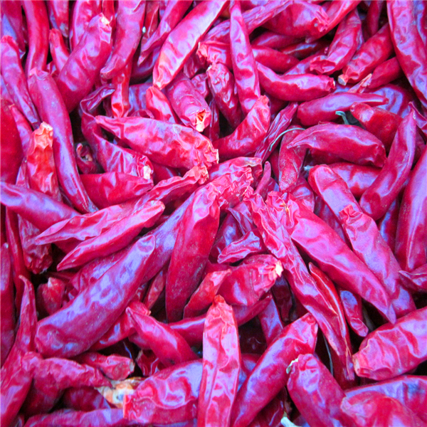 4-7cm Cayenne Dried Red Chili Peppers Kondisi penyimpanan Tempat yang dingin dan kering