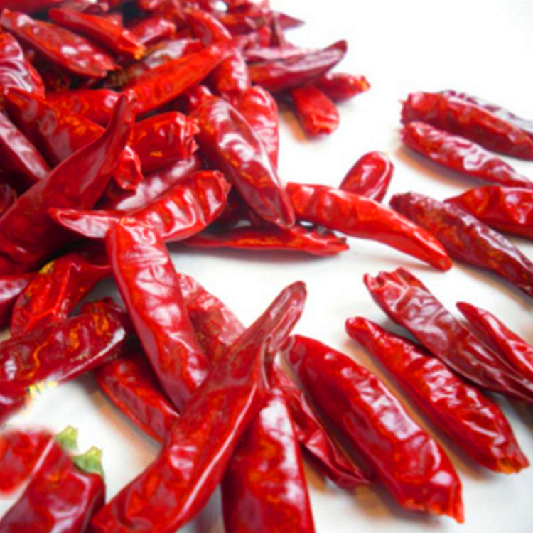 Halal Buah Cabe merah kering tanpa batang dengan 14% Max kelembaban - Tempat yang Dingin dan Kering