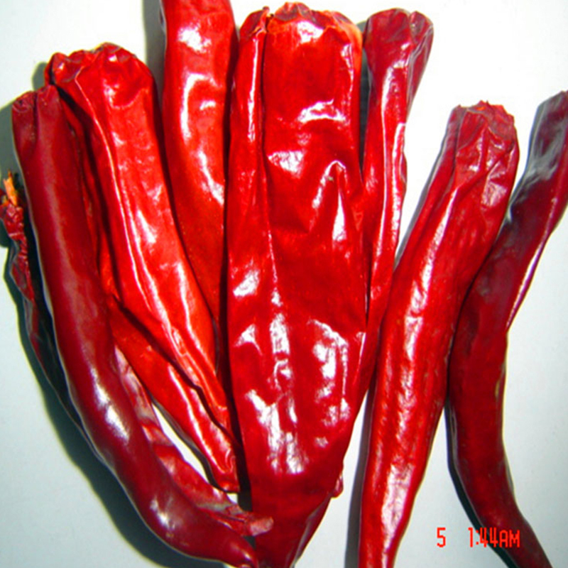 Hot Pot / Masakan Sichuan Memerlukan Paprika Merah Kering dengan Rasa Pedas yang Kuat
