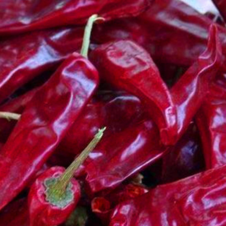 10kg/Kantong Merah Dried Chilli Peppers Dengan Kekuatan Dan Stemless atau Stem Cut Peppers
