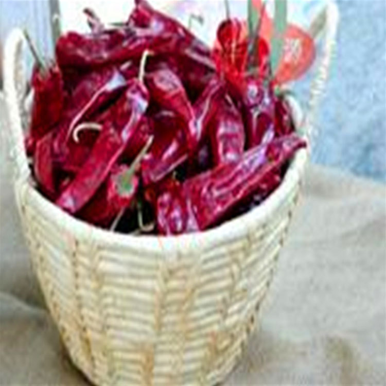 Asal Usul Rasa Pedas Cina Pepper kering NO Alergen Informasi 14 Cm