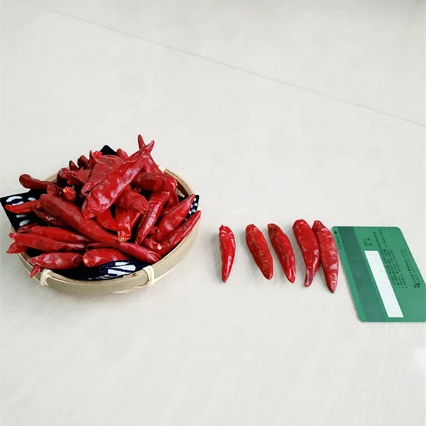 Tianjin Red Chilies Bulat Bahan pokok untuk membuat masakan Cina yang lezat 100g