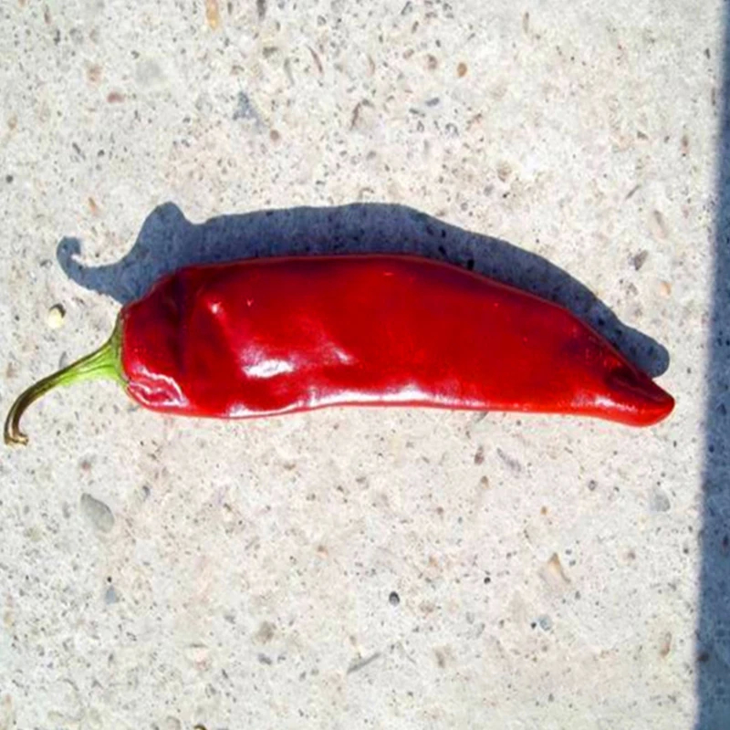 Paprika tebal dengan rasa cabe yang intens, warna merah yang kaya dan kelembaban 8-12%