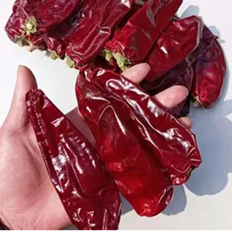 Sun Dried Cayenne Chili Peppers dengan rasa pahit dari 10.000 sampai 20.000 Scoville Heat Unit