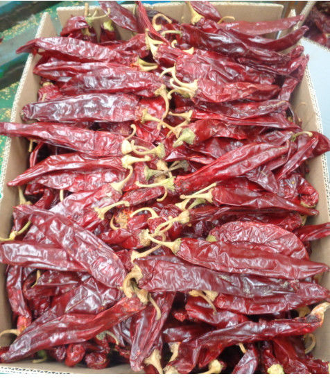 Paprika Merah Manis Dehidrasi Chilli Color Pigment Ekstraksi Hot Chili Peppers