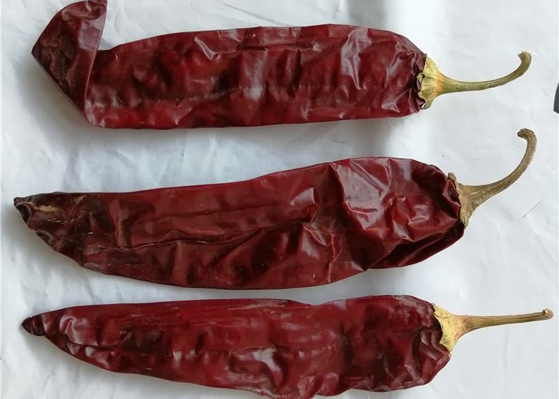 1 Tahun Shelf Life Sweet Paprika Pepper Dried Red Chilli Additive Untuk Bahan Makanan Berkualitas Tinggi